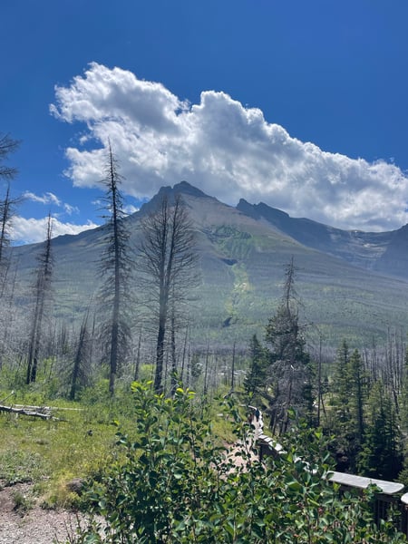 Red Rock Canyon Loop — a traveler's photo spot in Glacier National Park