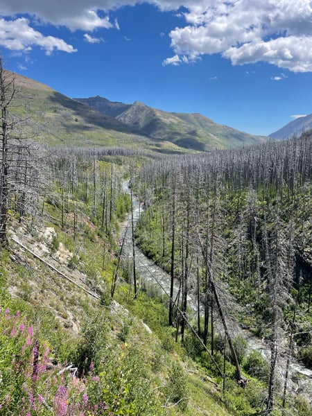 A traveler's photo spot in Improvement District No. 04, Glacier National Park