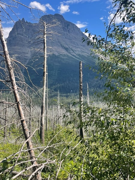 A traveler's photo spot in Glacier County, Glacier National Park