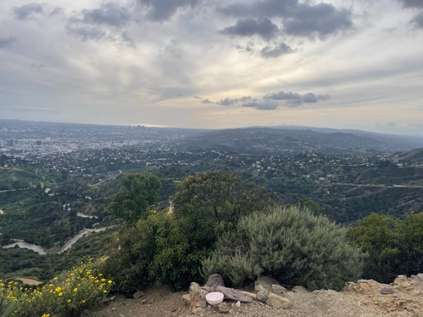 A traveler's photo spot in Los Feliz Neighborhood Council District, Los Angeles