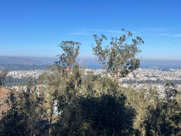 A traveler's photo spot in Inner Sunset, San Francisco