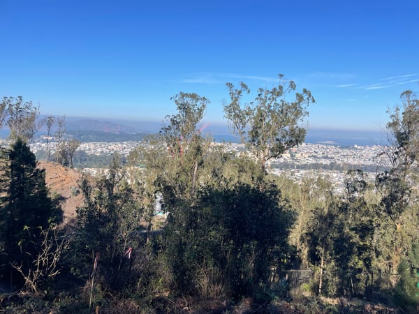 A traveler's photo spot in Inner Sunset, San Francisco
