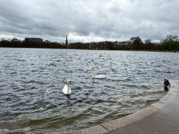 A traveler's photo spot in Bayswater, London