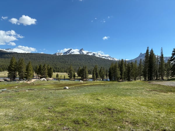A traveler's photo spot in Yosemite National Park