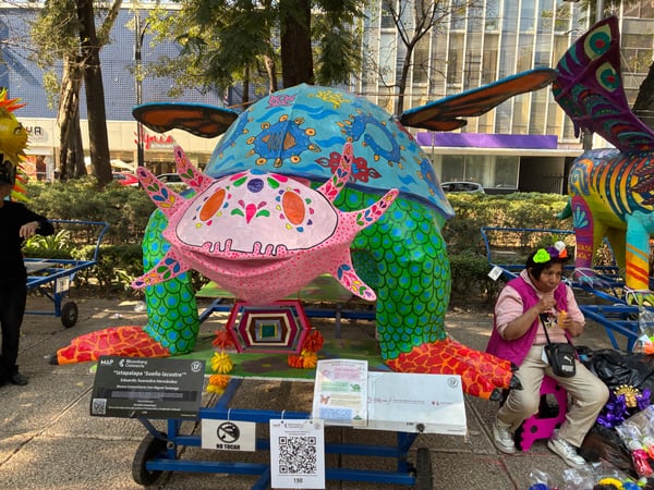 A traveler's photo spot in Roma, Mexico City