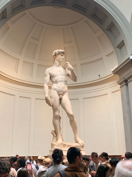 Michelangelo's David marble statue displayed in a domed rotunda, viewed from ground level among museum visitors. — Florence