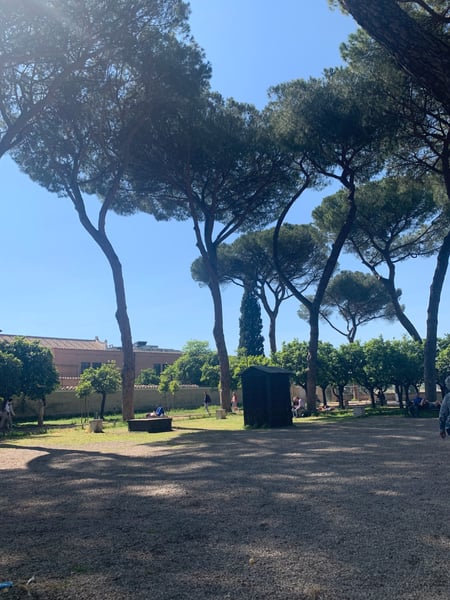 A public garden with tall stone pines and Mediterranean vegetation, with classical architecture visible beyond the… — Giardino degli Aranci, Rome