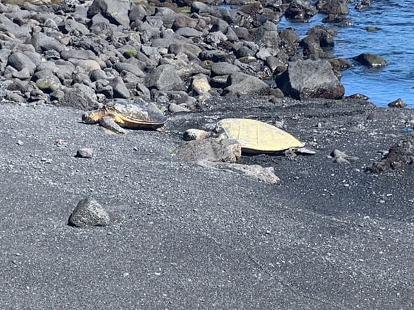 A traveler's photo spot in Hawaiʻi County, Big Island, Hawaii