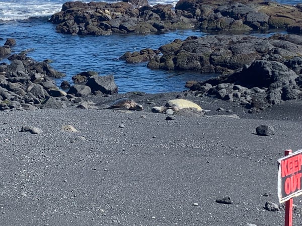 A traveler's photo spot in Hawaiʻi County, Big Island, Hawaii