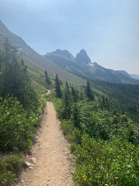 A hiking trail winds through alpine meadows and coniferous forest toward distinctive mountain peaks on the Highline… — Highline Trail, Glacier National Park