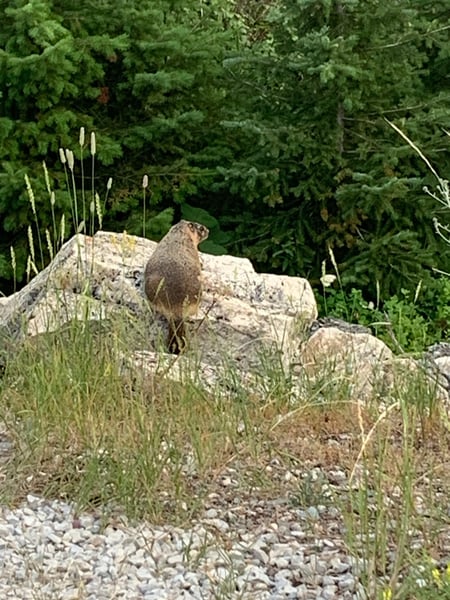 A traveler's photo spot in Glacier County, Glacier National Park