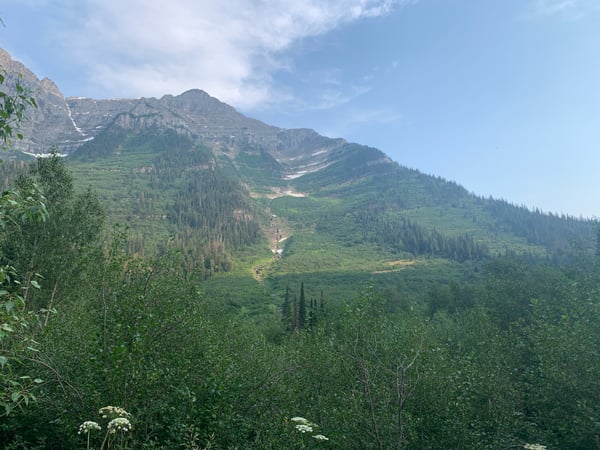 Alpine valley with forested slopes, mountains, and a stream viewed from a hillside vantage point in Montana. — Glacier National Park
