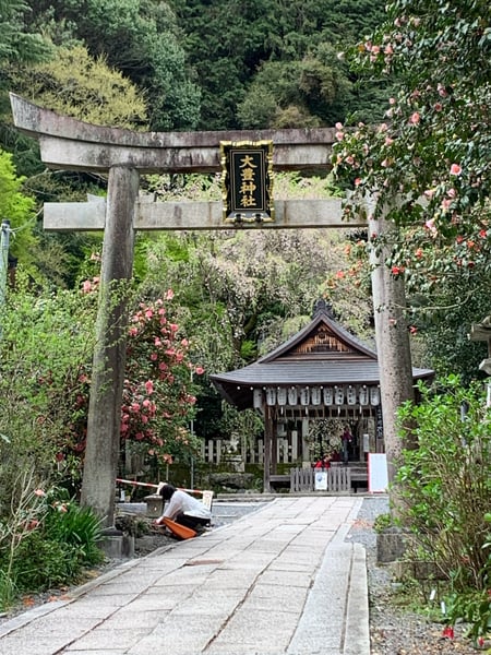 A traveler's photo spot in Kyoto