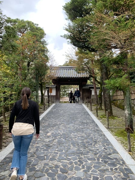 A traveler's photo spot in 左京区, Kyoto
