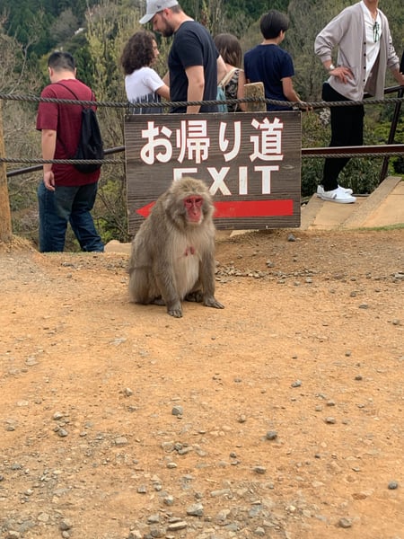 A traveler's photo spot in 西京区, Kyoto