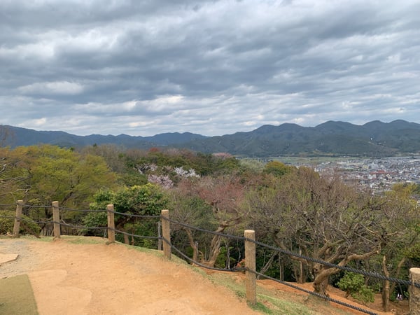 A traveler's photo spot in 西京区, Kyoto