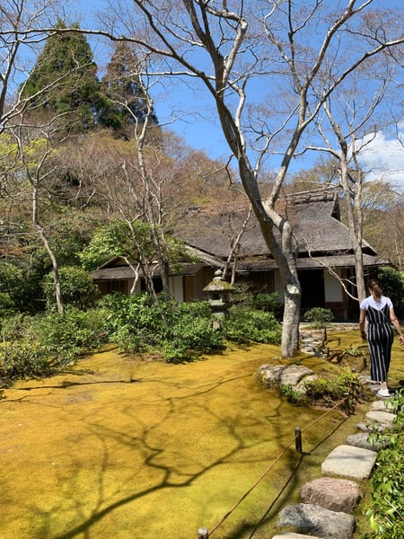 A traveler's photo spot in 右京区, Kyoto