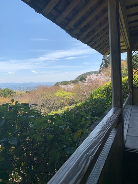 A traveler's photo spot in 右京区, Kyoto