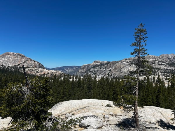 Alpine granite landscape with coniferous forest and distant mountain peaks under clear blue sky, viewed from a high… — Yosemite National Park