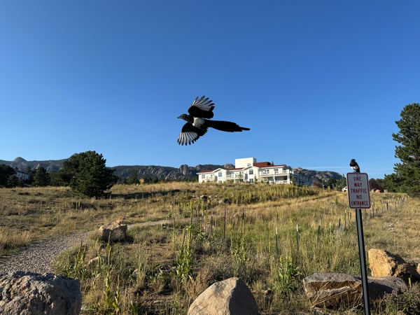 A traveler's photo spot in Estes Park, Rocky Mountain National Park