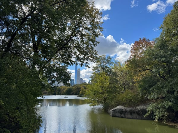 A traveler's photo spot in Manhattan Community Board 7, New York City