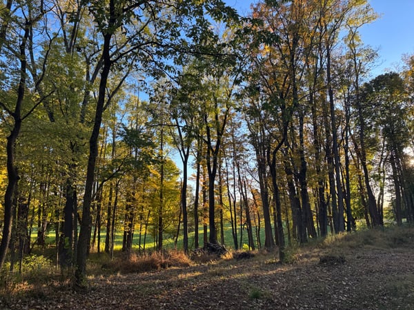 A traveler's photo spot in Rolling Meadows, Hudson Valley & Catskills