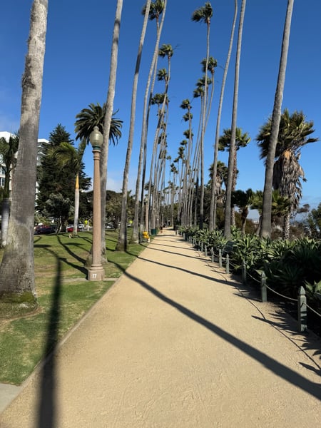 A traveler's photo spot in Downtown Santa Monica, Los Angeles